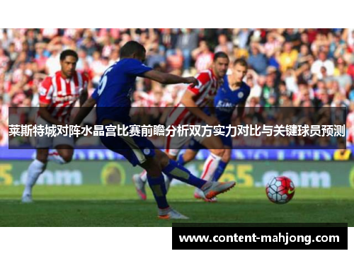 莱斯特城对阵水晶宫比赛前瞻分析双方实力对比与关键球员预测