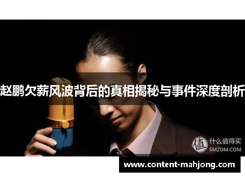 赵鹏欠薪风波背后的真相揭秘与事件深度剖析