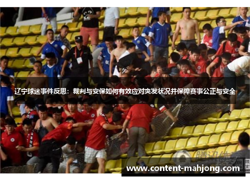 辽宁球迷事件反思：裁判与安保如何有效应对突发状况并保障赛事公正与安全