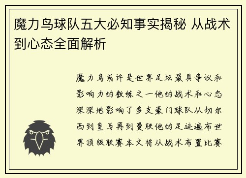 魔力鸟球队五大必知事实揭秘 从战术到心态全面解析